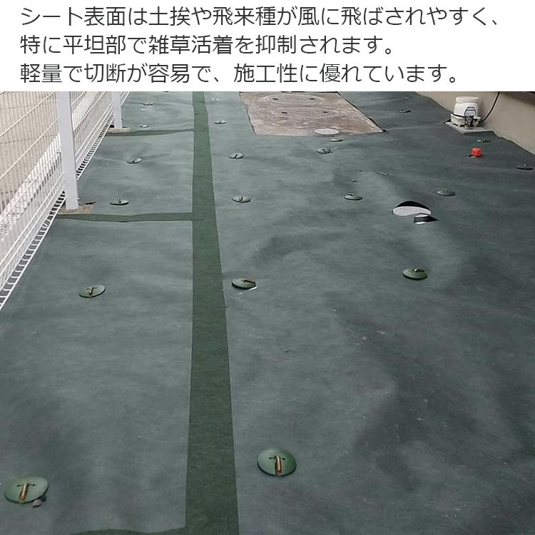 セフティー3 防草シート 1m×50m 耐候年数5年 強力 除草シート 雑草防止