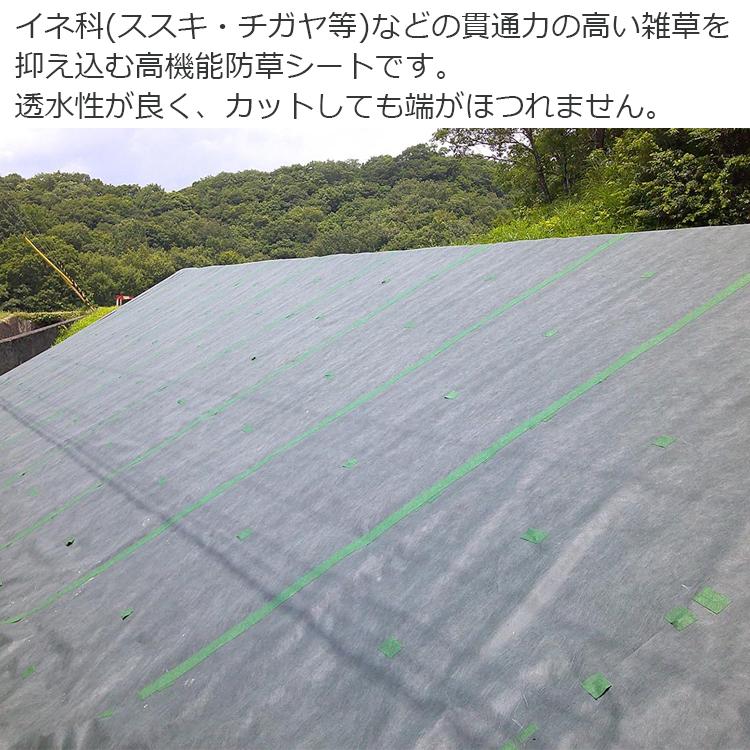 セフティー3 防草シート 1m×50m 耐候年数5年 強力 除草シート 雑草防止