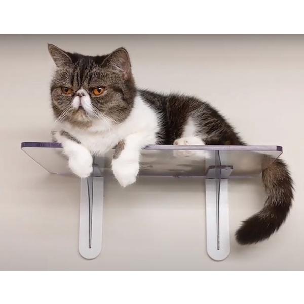 キャットステップ キャットウォーク 22×40cm 1セット 透明 クリア 猫用
