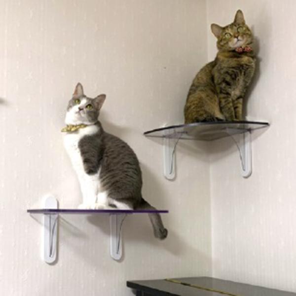 キャットステップ キャットウォーク 22×40cm 1セット 透明 クリア 猫用