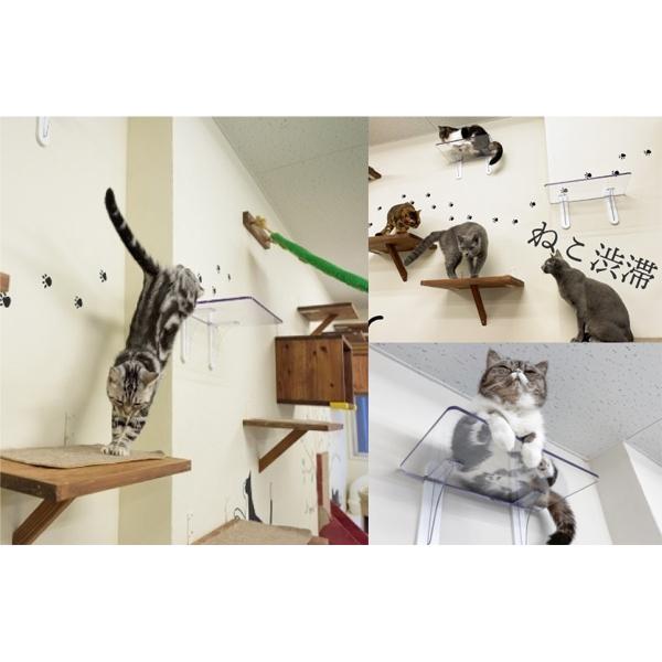 キャットステップ キャットウォーク 22×40cm 1セット 透明 クリア 猫用