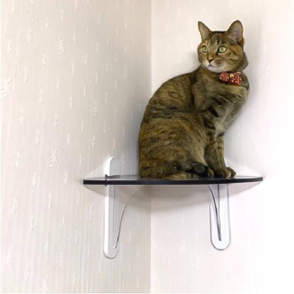 キャットステップ コーナー用 キャットウォーク 30×30cm 1セット