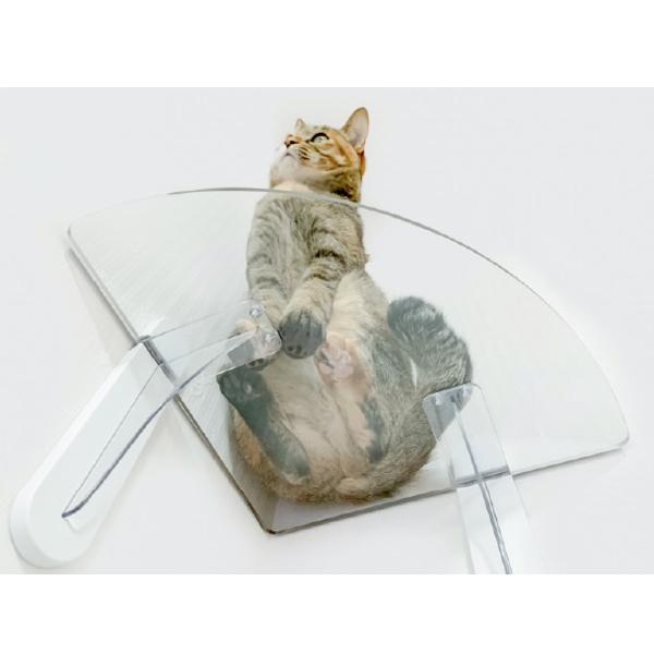 キャットステップ　５枚セット　値下げしました キャットステップ 5枚セット 値下げしました