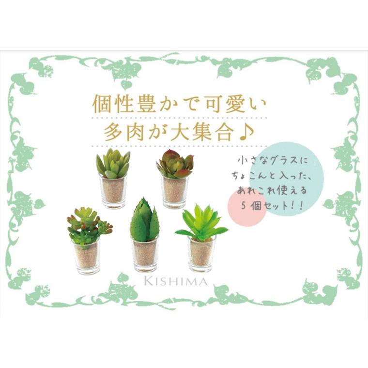 キシマ（KISHIMA） フェイクグリーン 多肉植物 消臭アーティフィシャル