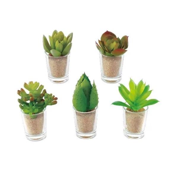 キシマ（KISHIMA） フェイクグリーン 多肉植物 消臭アーティフィシャル