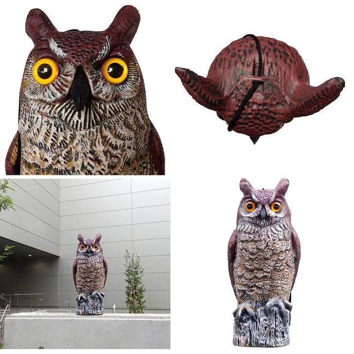 【特選フクロウさん５点セット】 鳥よけグッズ 鳥よけ フクロウ ふくろう 防鳥具 鳥除け対策