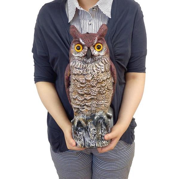 フクロウの夜会 九谷焼 仲良し ふくろう 金彩錦盛（不苦労 フクロウ）