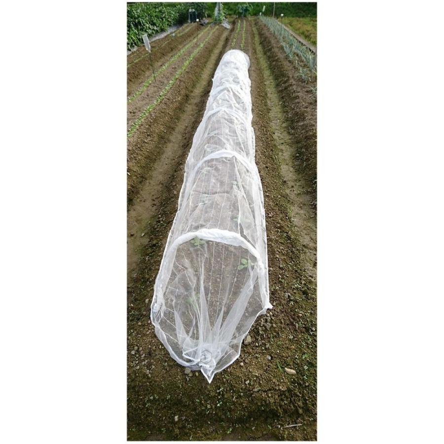 折りたたみ式 防虫ネットトンネル 60cm 5m 1mm目 支柱セット 農業業ネット 虫よけ 農業資材 Fukuno Bochu S S Net 通販 Yahoo ショッピング
