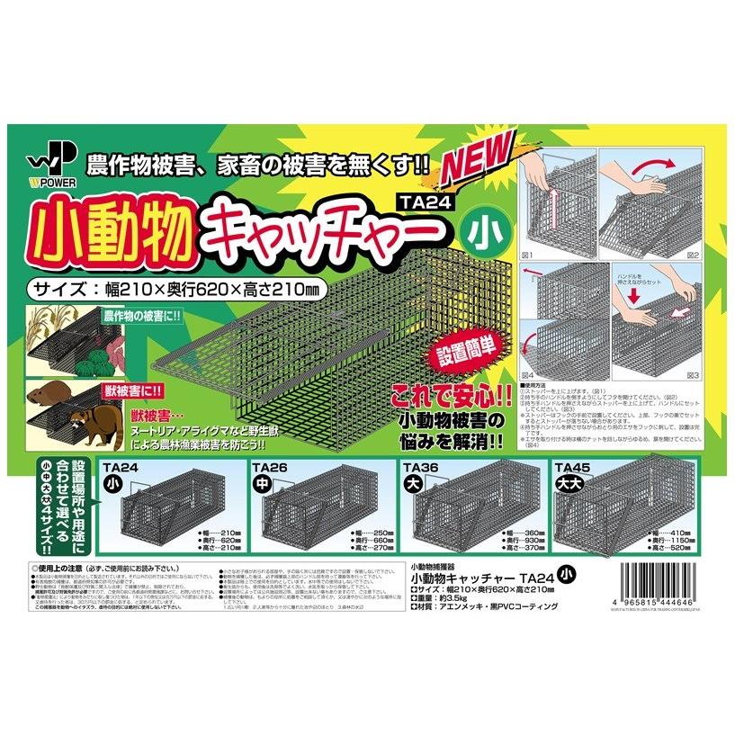 【英語版】害獣駆除/Pest Control 2枚セット 065)《害獣の侵入/Pest Infestation》[C21] 緑R | 日本最大級