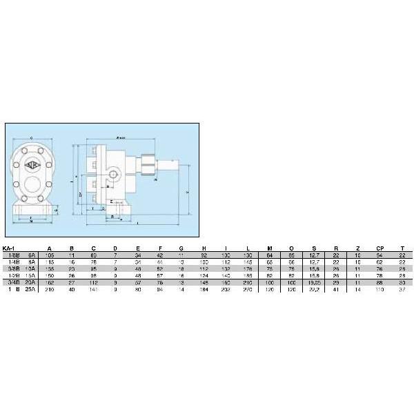 亀嶋鉄工所 単体ポンプ 鋳鉄製ギヤーロータリーポンプ ギヤーポンプ ギヤポンプ KA-1 口径：3/8 (10A)