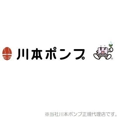 https://item-shopping.c.yimg.jp/i/n/ssnet_kawamoto-19216640-002-0