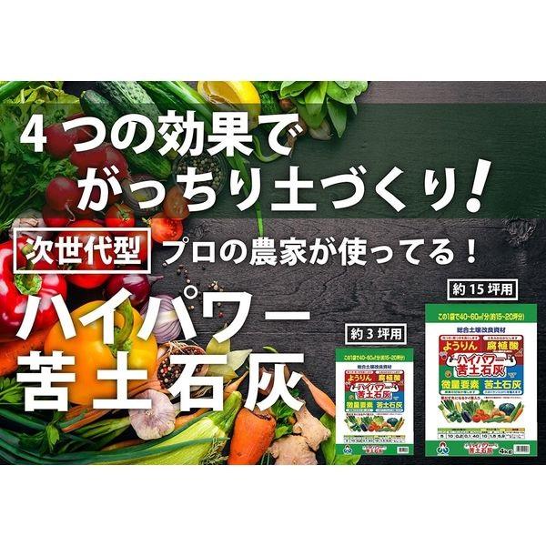 ハイパワー苦土石灰 600g 国産 土壌改良材 土作り 菜園 家庭菜園 野菜 花壇 ガーデニング 朝日アグリア｜ssnet｜02