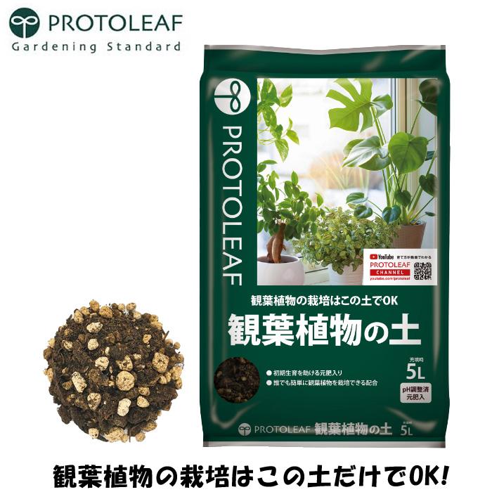 プロトリーフ 室内向け 観葉植物の土 5L 多肉植物の土 観葉植物用 土