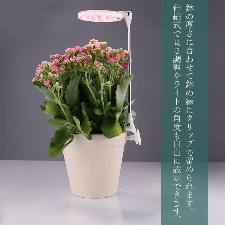 H2O 植物育成ライト 育成ライトクリップ 育成ライト 植栽ライト H2O 植物育成ライト 育成ライトクリップ 育成ライト 植栽ライト