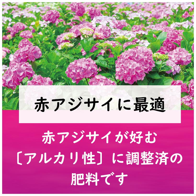 東商 紫陽花 肥料 赤アジサイの肥料 500g 園芸 ガーデニング｜ssnet｜03