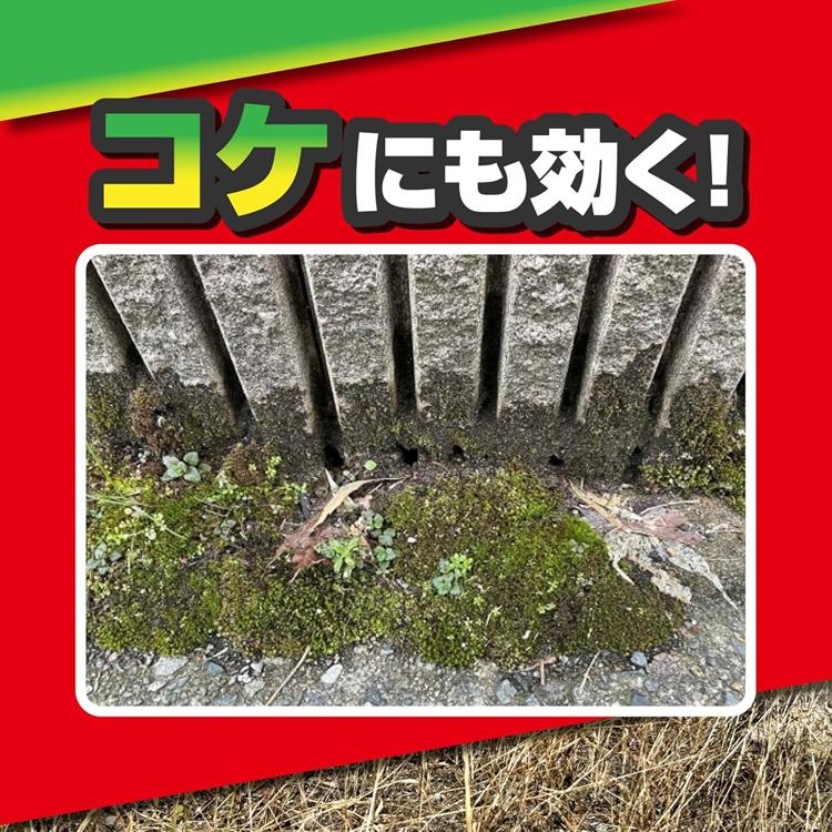 除草剤 4L 強力 草退治 メガロングシャワー ストレート液剤 雑草 コケ