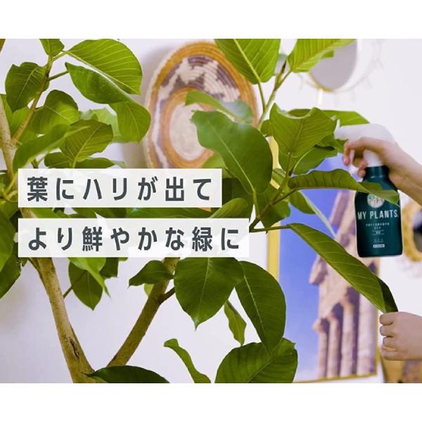 肥料 ミスト すばやく元気を届けるミスト 250ml 液肥 追肥 スプレー 葉面散布 観葉植物 多肉植物 住友化学園芸 マイプランツ｜ssnet｜04