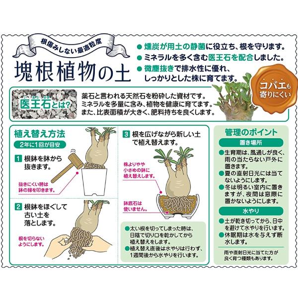 花ごころ 塊根植物の土 2L 培養土 コーデックス 塊根植物 塊茎植物
