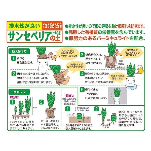 培養土 サンセベリアの土 5L サンセベリア サンスベリア トラノオ 専用 土 国産 花ごころ｜ssnet｜02