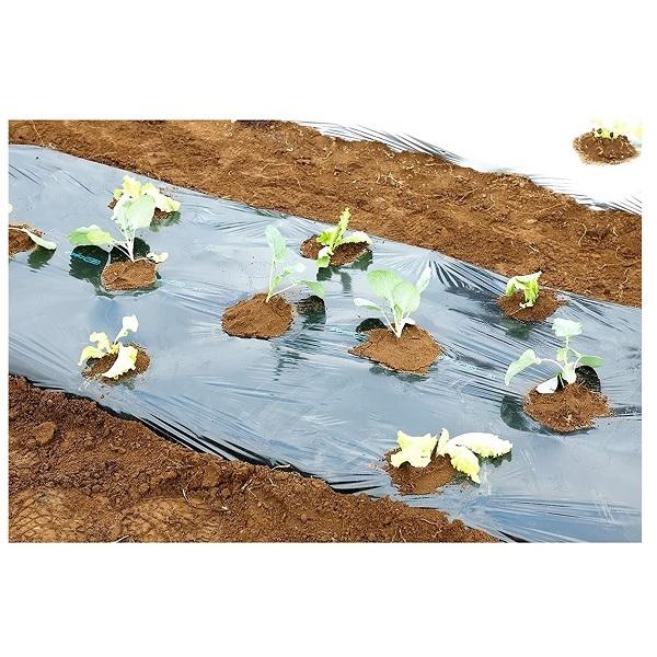 マルチシート nns_5008610000033