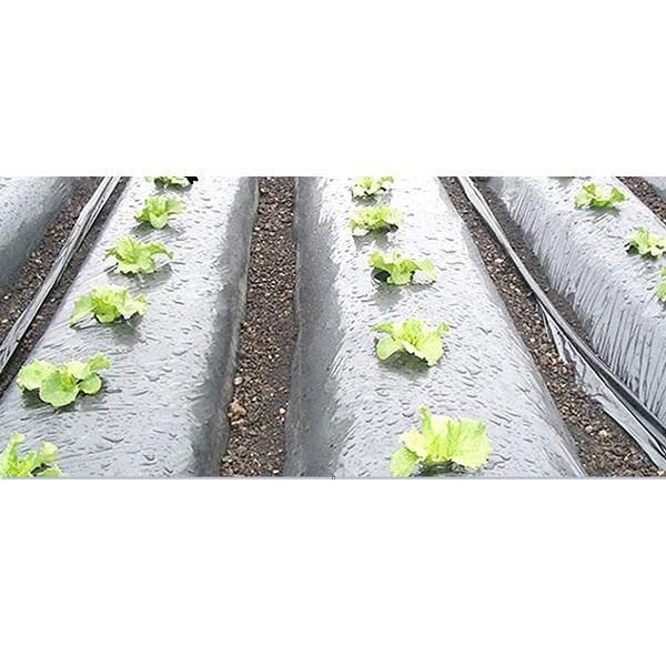 岩谷マテリアル マルチシート 95cm×50m 厚さ0.02mm 日本製 黒マルチ 黒