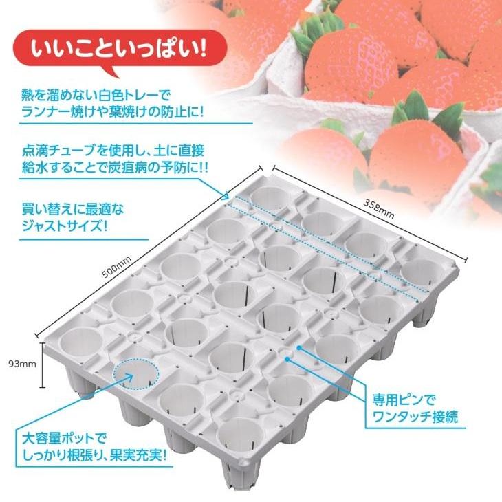 明和 いちごトレイ 20穴 20個セット ランナートレイ 育苗 トレイ