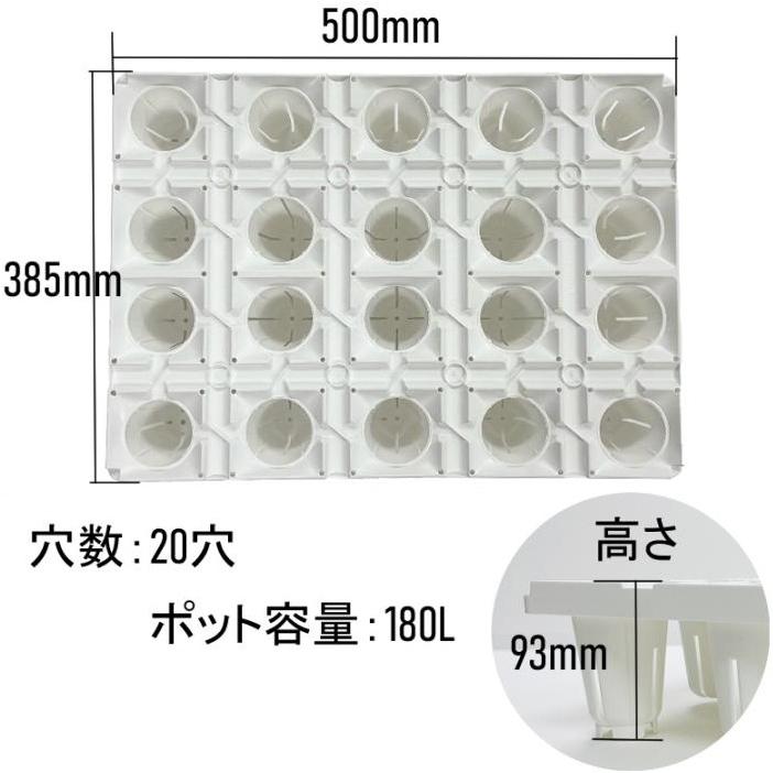 明和 いちごトレイ 20穴 20個セット ランナートレイ 育苗 トレイ