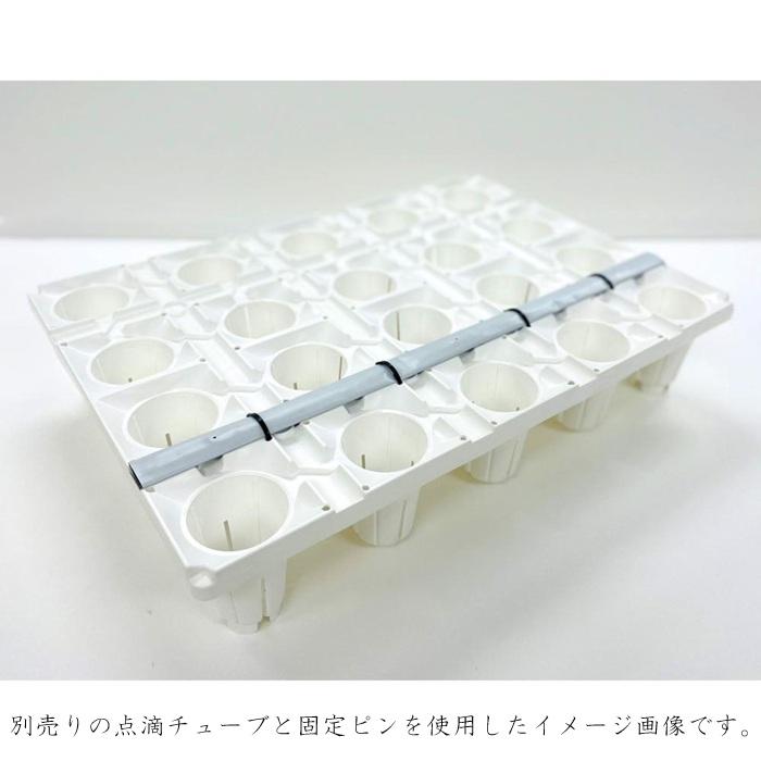 明和 いちごトレイ 20穴 20個セット ランナートレイ 育苗 トレイ