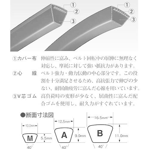 三ツ星ベルト Vベルト レッドラベルRM形 RM30 東浜 ロータリーブロワー SD-120s交換用 平ベルト |  | 01