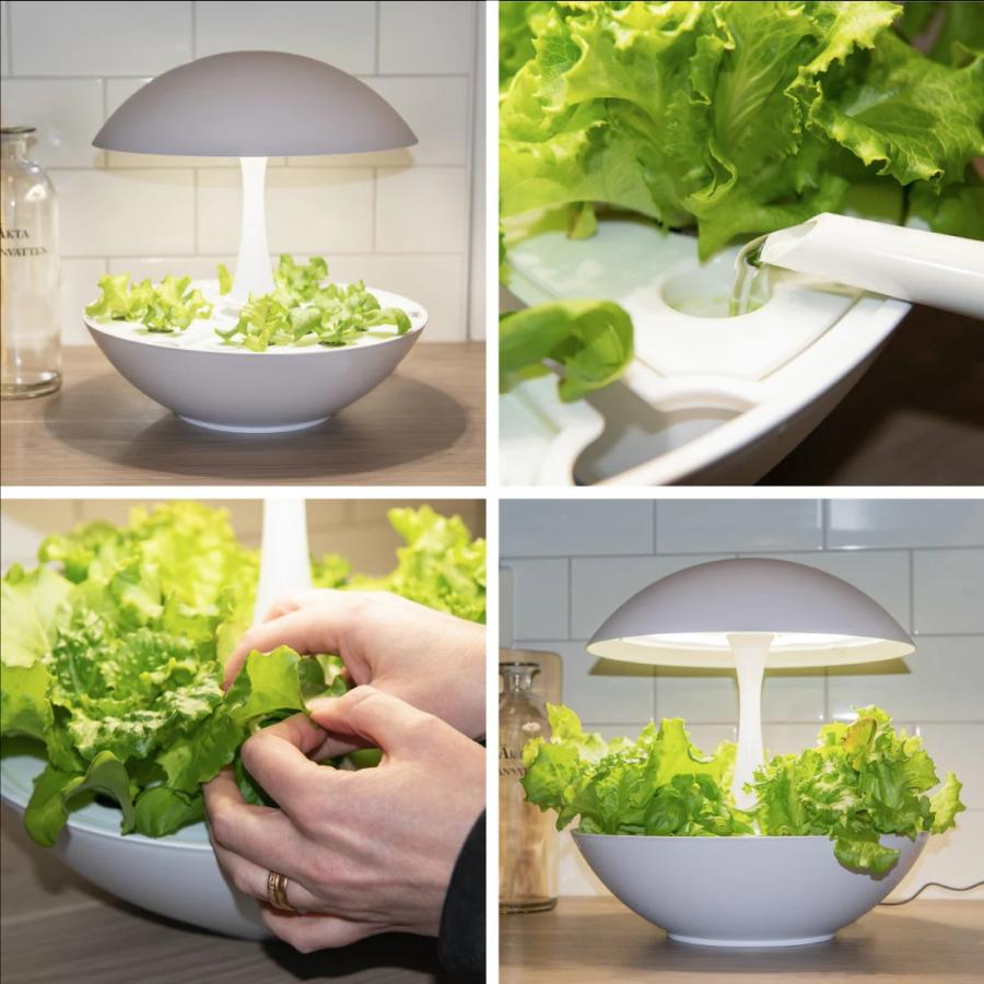 灯菜 水耕栽培キット LED おしゃれな 水耕栽培器 OMA01RN2 室内 灯菜 水耕栽培キット LED おしゃれな 水耕栽培器 OMA01RN2 室内