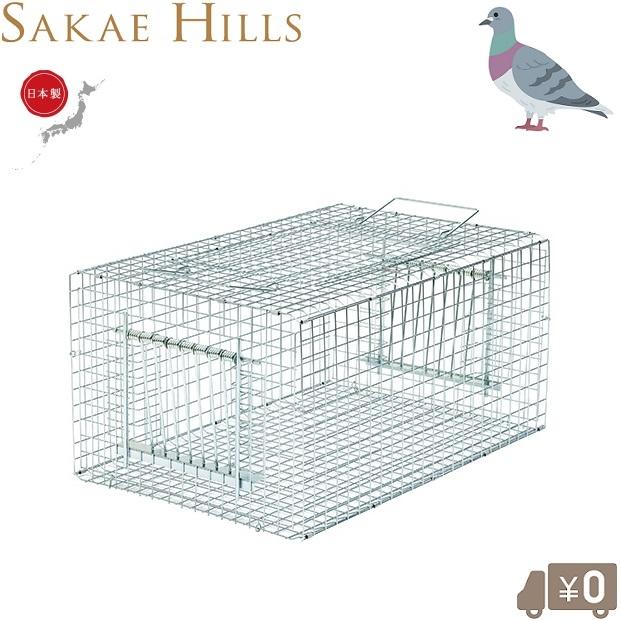 栄ヒルズ 捕獲器 ハト 日本製 鳩捕獲器 RF1 はと捕獲器 ハト対策