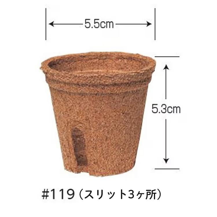 サカタのタネ（サカタノタネ） 法人様限定 サカタ 育苗ポット 天然素材