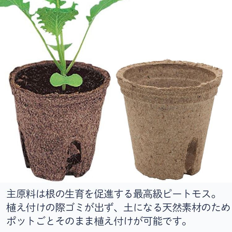 サカタのタネ（サカタノタネ） 法人様限定 サカタ 育苗ポット 天然素材