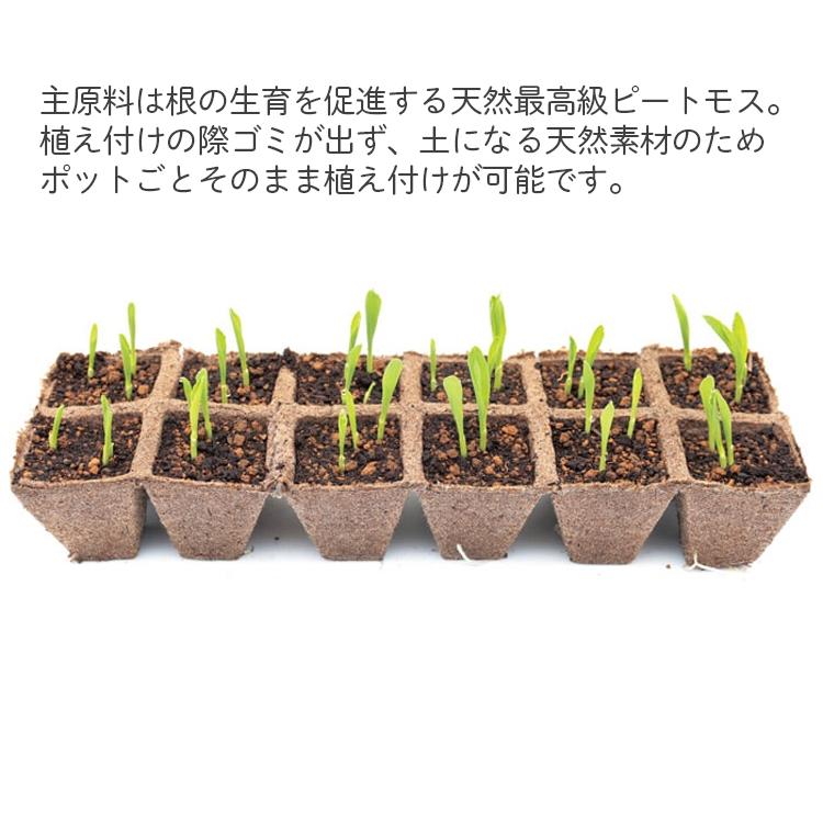 ジフィーストリップ　角型 5cmスリット入12連結×330入 （3960個入） サカタのタネ 法人様限定 サカタ 育苗ポット 天然素材 角型