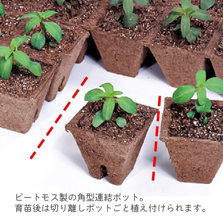 ジフィーストリップ　角型 5cmスリット入12連結×330入 （3960個入） サカタ ジフィーストリップ 角型5cm 12個連結5枚入: 生活