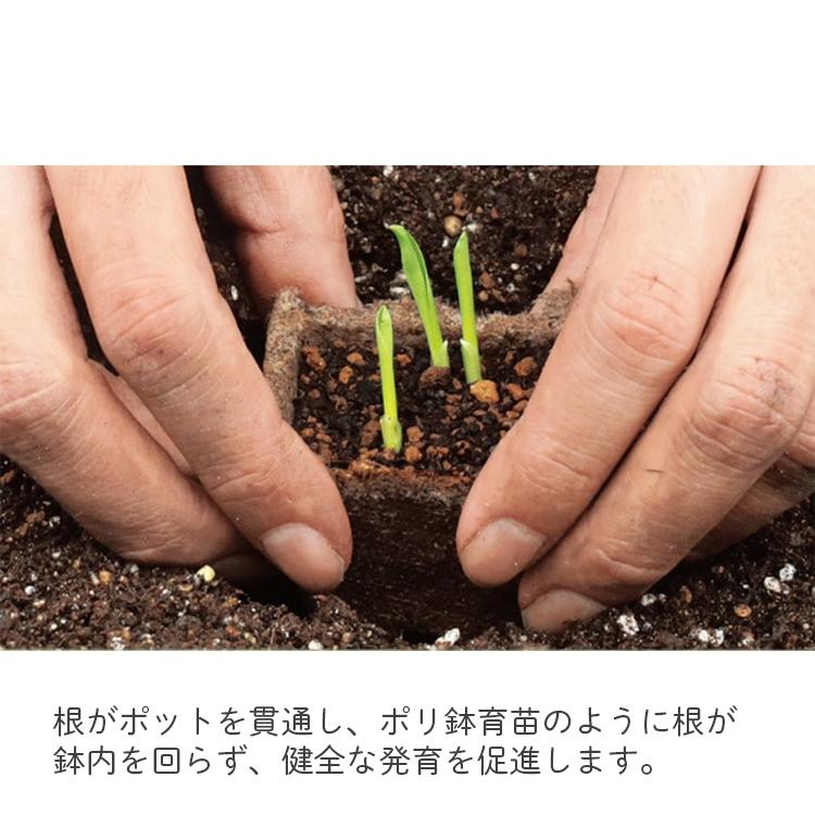 サカタのタネ 法人様限定 サカタ 育苗ポット 天然素材 角型