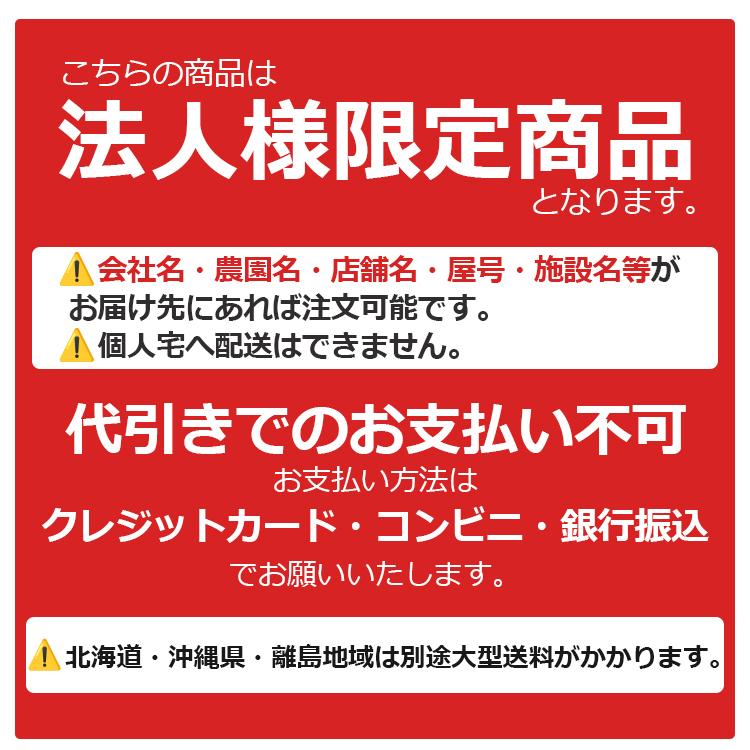 サカタのタネ 法人様限定 サカタ 育苗ポット 天然素材 角型