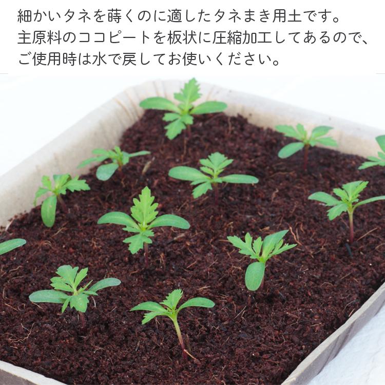 サカタのタネ（サカタノタネ） 種まき用土 育苗トレー 5セット 挿し木