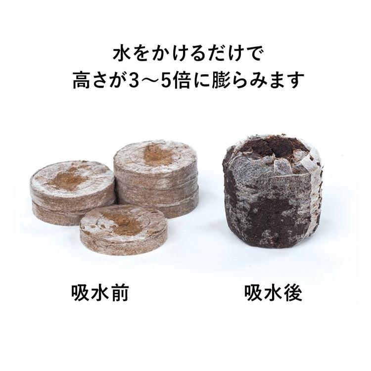 サカタのタネ（サカタノタネ） ジフィーセブン 直径42mm 48個入り
