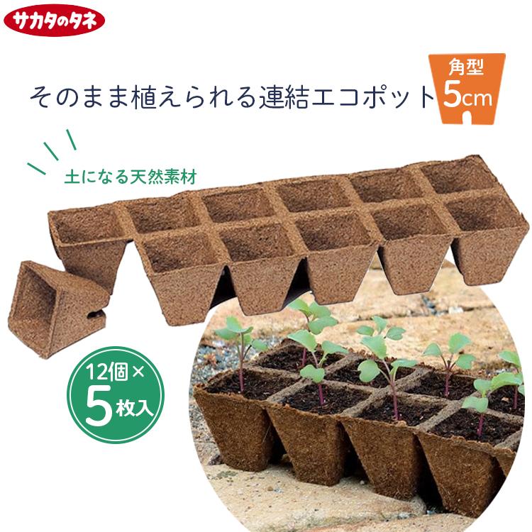 ファーム　アカサタ園芸さん専用！ サカタのタネ（サカタノタネ） サカタ 育苗ポット 天然素材 角型