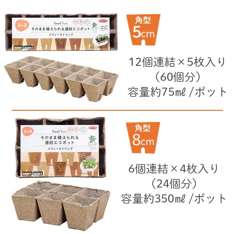 サカタのタネ（サカタノタネ） サカタ 育苗ポット 天然素材 角型
