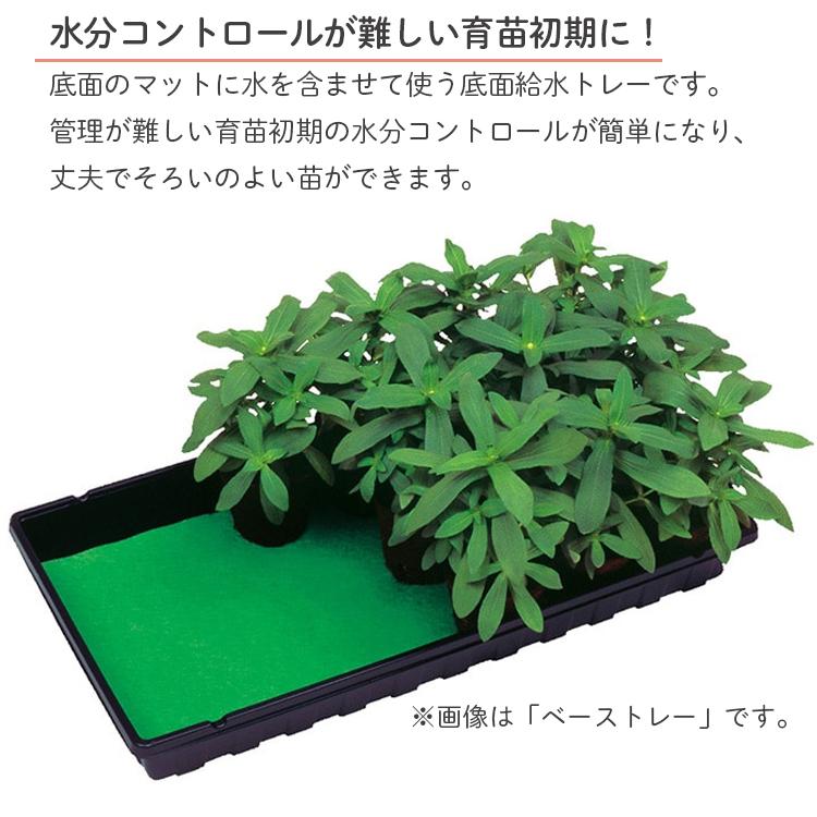 サカタのタネ 育苗トレー 育苗ポット用 底面給水トレー 保湿&保温