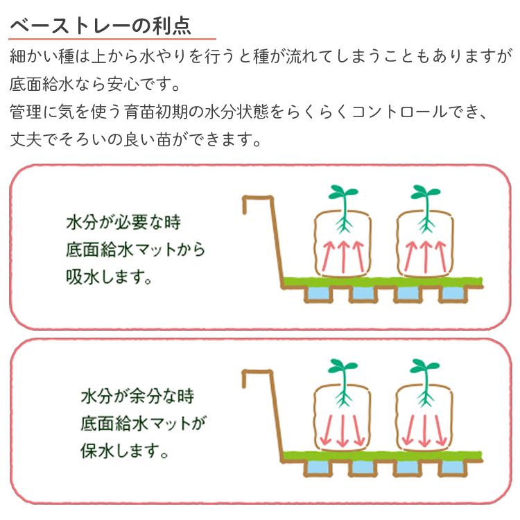 サカタのタネ 育苗トレー 育苗ポット用 底面給水トレー 2枚入り