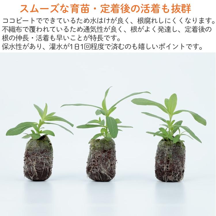 ジフィーセブンC 50×60mm 560個入 PLA ココピート　種まき　育苗 ジフィーセブンC 50mm 560個入 PLA ココピート 種まき 栽培 育苗