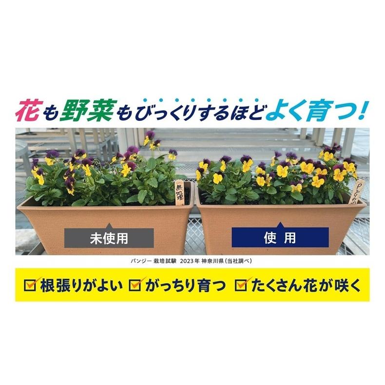 サカタのタネ 土壌改良剤 土壌改良材 パワフルシリカ 1kg×5袋 根 活性