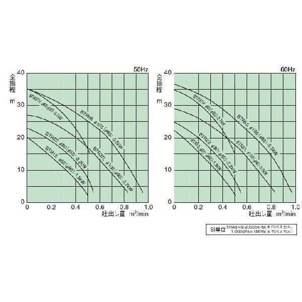 麟核　銀明水 銀鱗東錦ST 16cm | 金魚・熱帯魚専門店 AquaPro.H