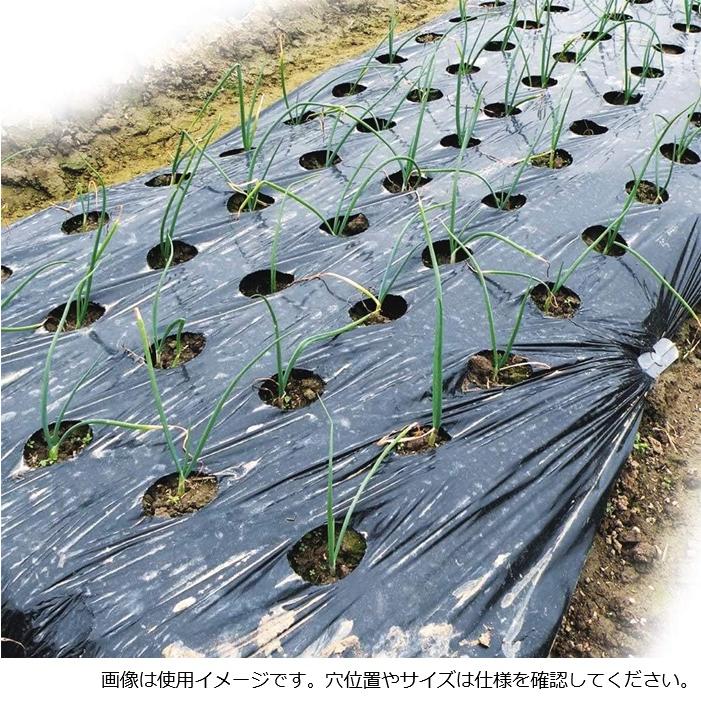 穴あき 黒マルチ 穴あきマルチ 95cm×10m 2列 9227 農業 家庭菜園