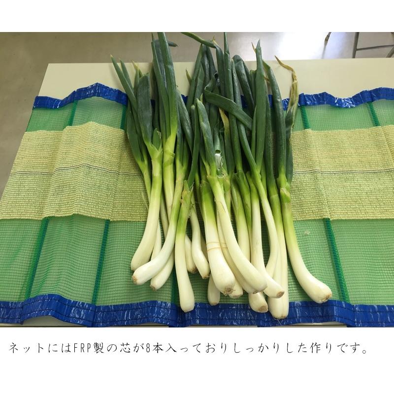 ネギ収穫ねっとネット ネギ収穫ネット 600mm×1250mm 10枚セット ネギ収穫用ネット ネギ 保管