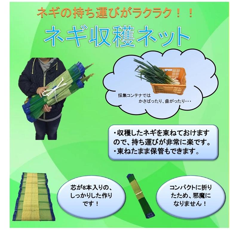 ネギ収穫ねっとネット ネギ収穫ネット 600mm×1250mm 10枚セット ネギ収穫用ネット ネギ 保管