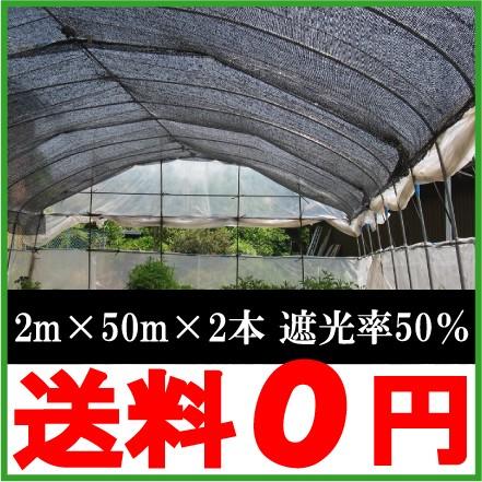 激安単価で 遮光ネット 黒 2m 50m 2本セット 遮光率50 農業用遮光ネット 農業資材 農業用品 園芸用品 日よけ 農業用ネット 格安即決 Www Tiebreak Fr